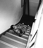ODF0588.jpg